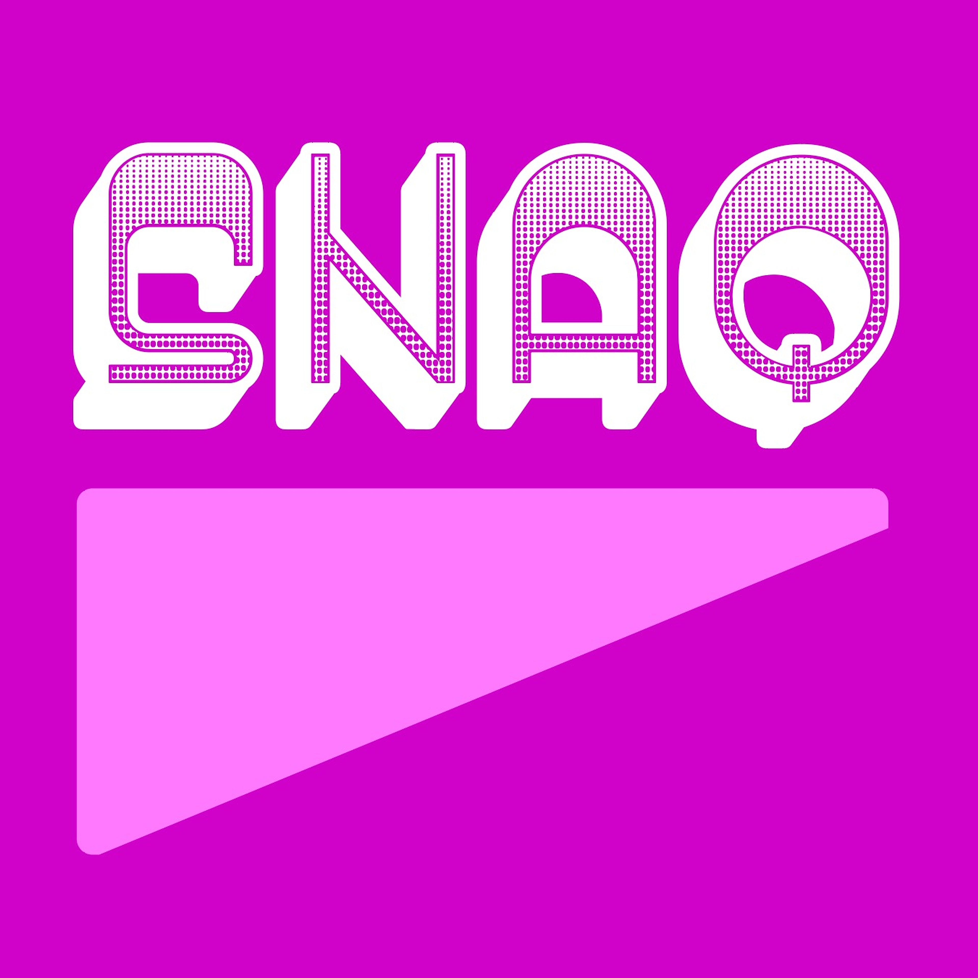 The Snaq cover image